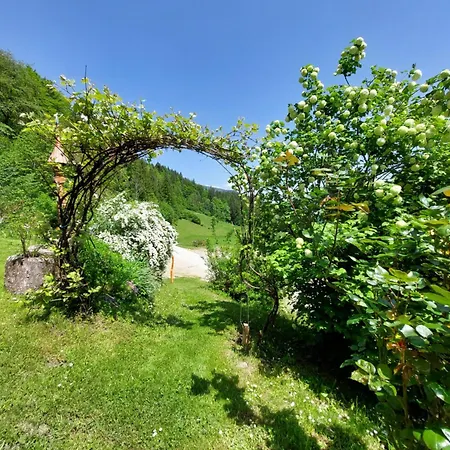 Pocitniska Hiska Kasta Tatil Evi Luče