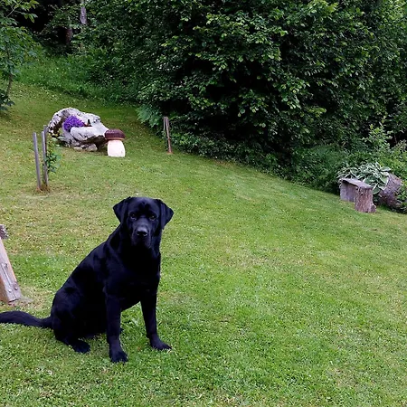 Pocitniska Hiska Kasta * Luče