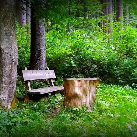 Dom wakacyjny Pocitniska Hiska Kasta *