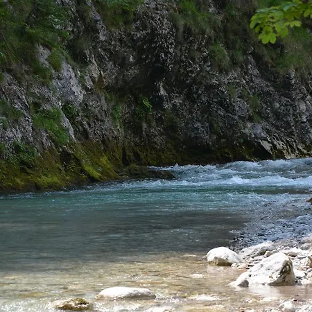 Dom wakacyjny Pocitniska Hiska Kasta Luče