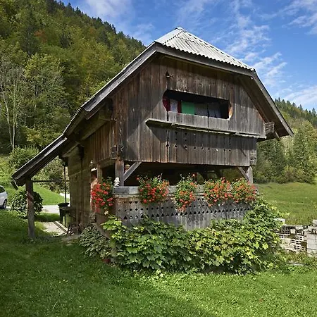 Pocitniska Hiska Kasta Luče