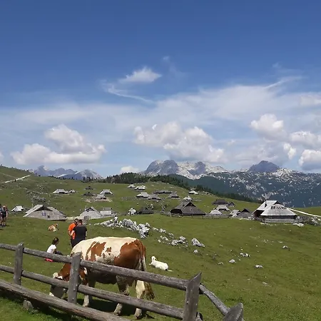 Pocitniska Hiska Kasta *