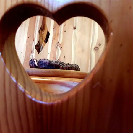 Pocitniska Hiska Kasta Luče