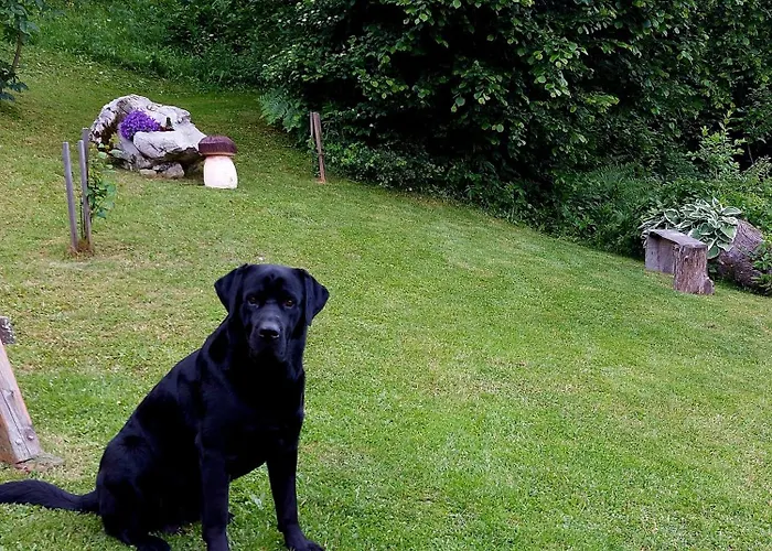 Pocitniska Hiska Kasta * Luce