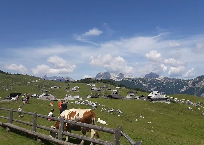 Pocitniska Hiska Kasta *